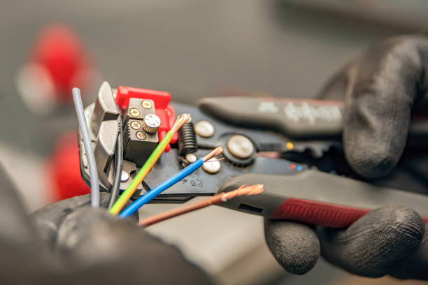 Best Electrician for Home Renovation  in Palm Valley, TX